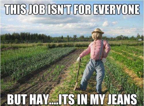 Jane as a farmer